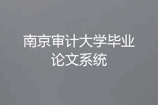 南京审计大学毕业论文系统