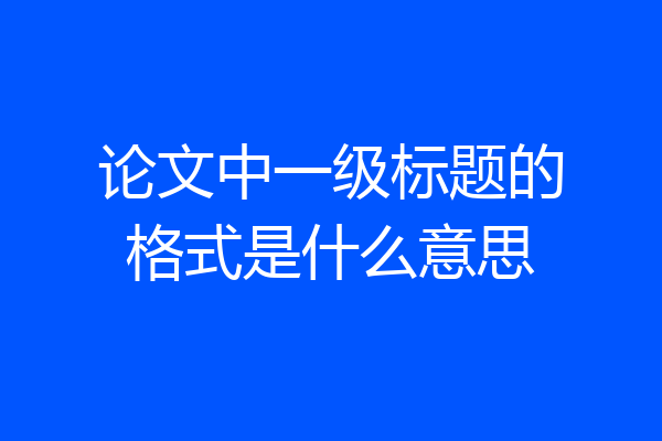 论文中一级标题的格式是什么意思