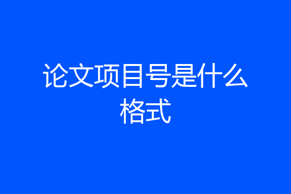 论文项目号是什么格式