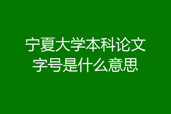 宁夏大学本科论文字号是什么意思