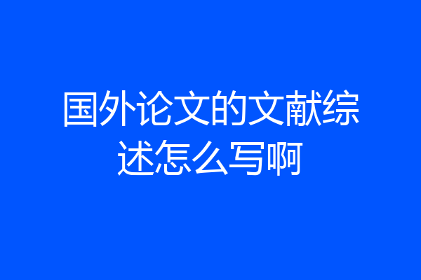 国外论文的文献综述怎么写啊