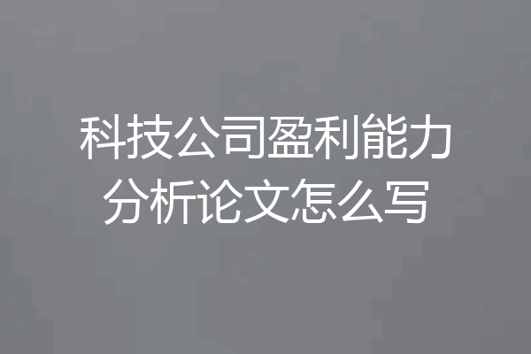 科技公司盈利能力分析论文怎么写