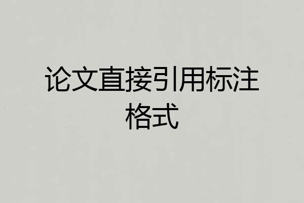 论文直接引用标注格式