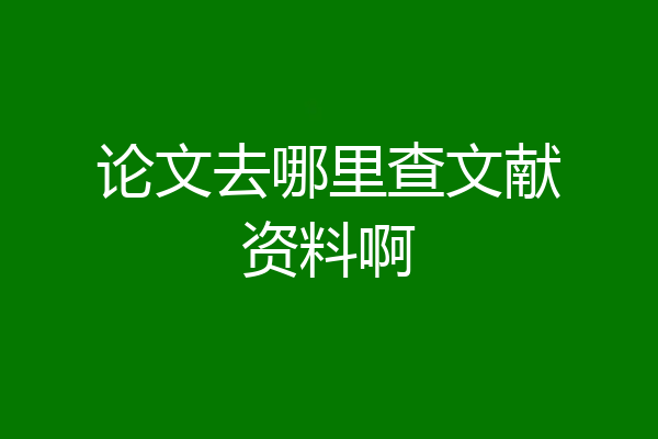 论文去哪里查文献资料啊
