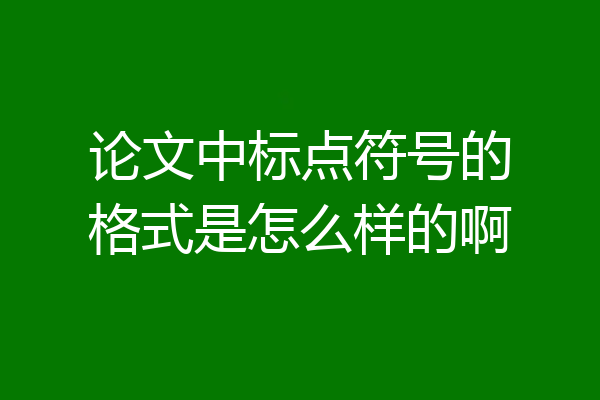 论文中标点符号的格式是怎么样的啊
