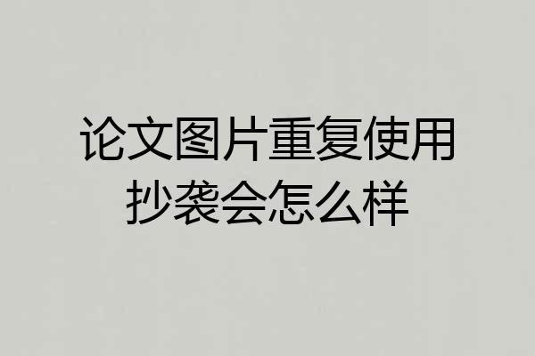 论文图片重复使用抄袭会怎么样