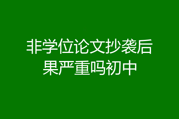 非学位论文抄袭后果严重吗初中