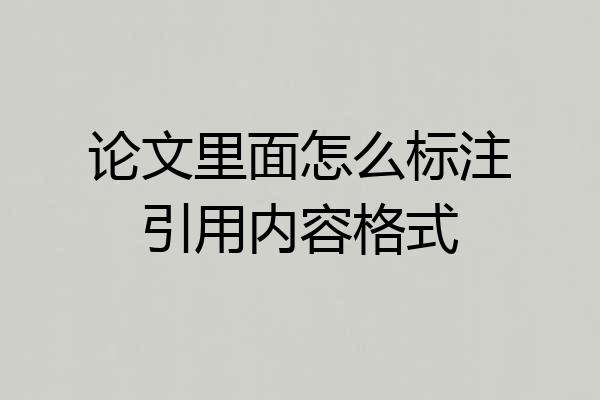 论文里面怎么标注引用内容格式