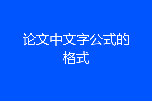 论文中文字公式的格式