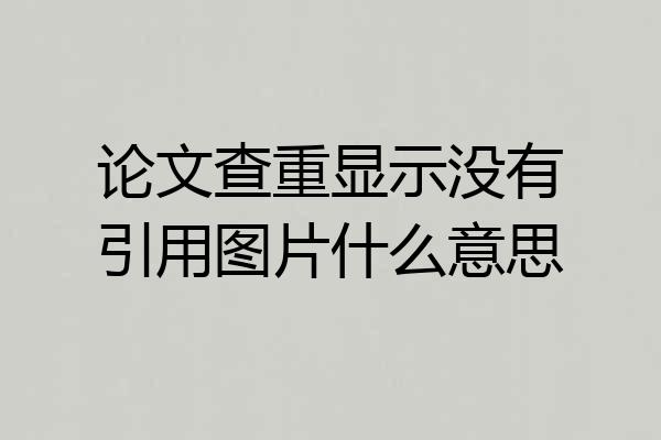 论文查重显示没有引用图片什么意思