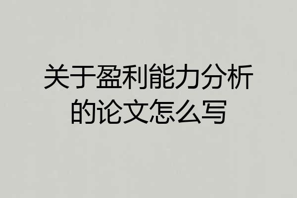 关于盈利能力分析的论文怎么写