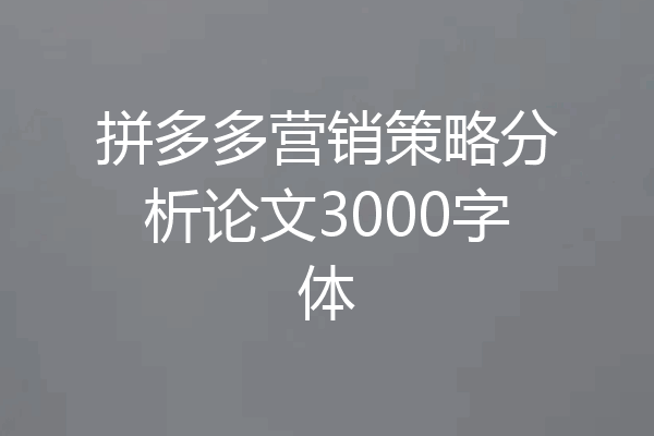 拼多多营销策略分析论文3000字体