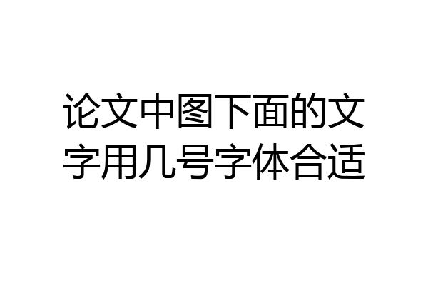 论文中图下面的文字用几号字体合适