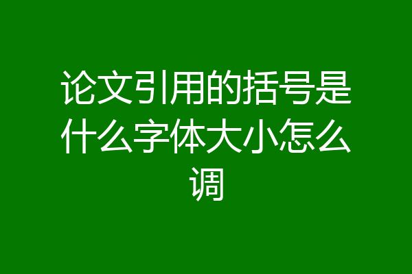论文引用的括号是什么字体大小怎么调