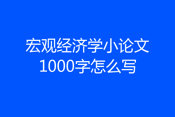 宏观经济学小论文1000字怎么写