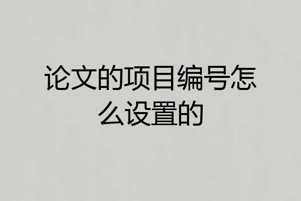 论文的项目编号怎么设置的