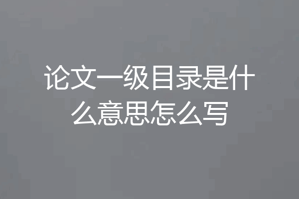 论文一级目录是什么意思怎么写