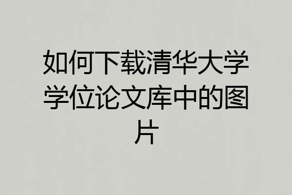 如何下载清华大学学位论文库中的图片