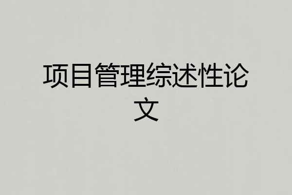 项目管理综述性论文