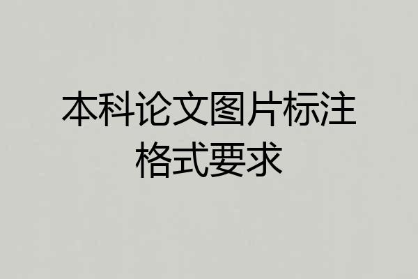 本科论文图片标注格式要求