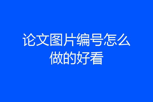 论文图片编号怎么做的好看