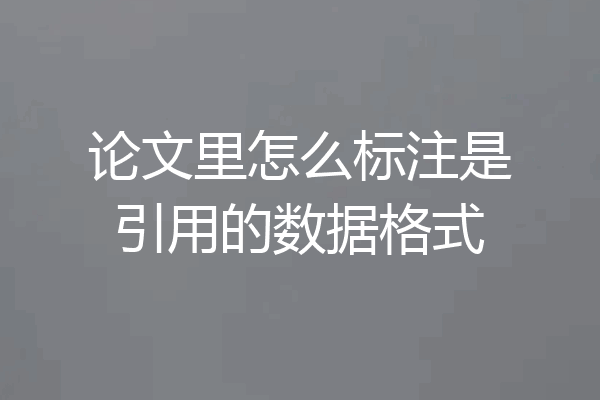 论文里怎么标注是引用的数据格式