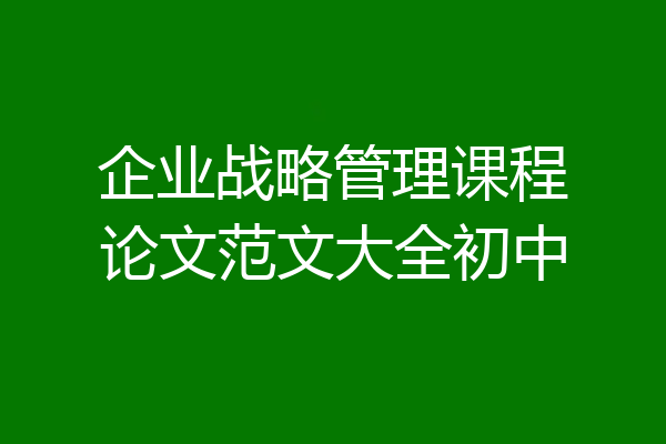 企业战略管理课程论文范文大全初中