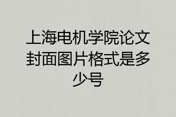 上海电机学院论文封面图片格式是多少号