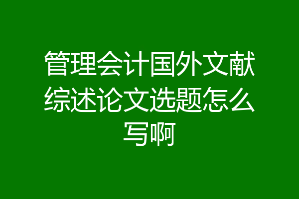 管理会计国外文献综述论文选题怎么写啊