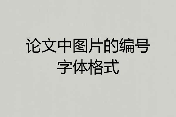 论文中图片的编号字体格式