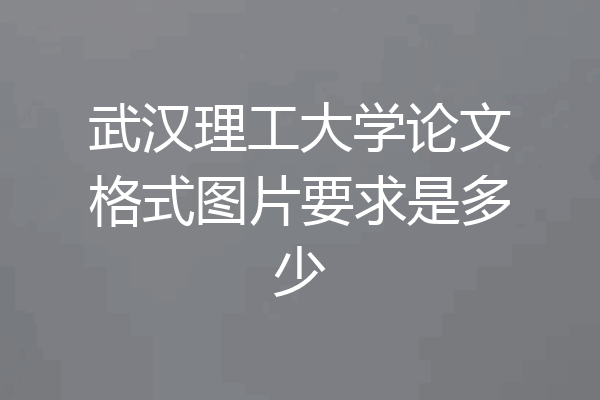 武汉理工大学论文格式图片要求是多少