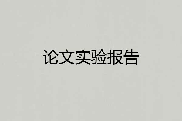 论文实验报告