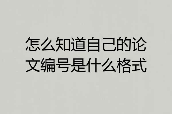 怎么知道自己的论文编号是什么格式