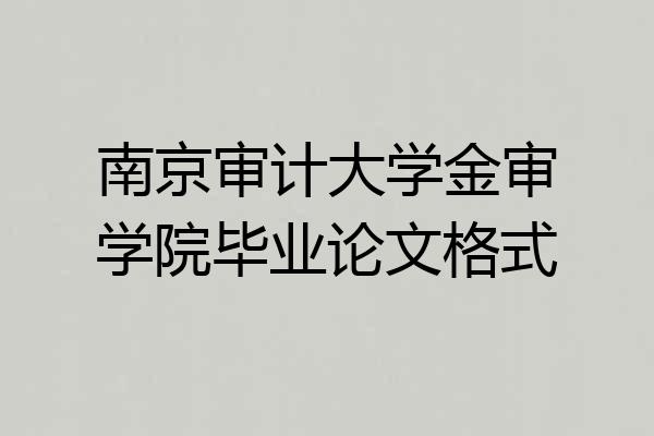 南京审计大学金审学院毕业论文格式