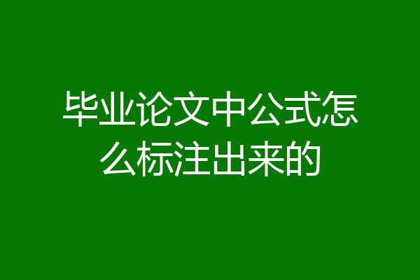 毕业论文中公式怎么标注出来的