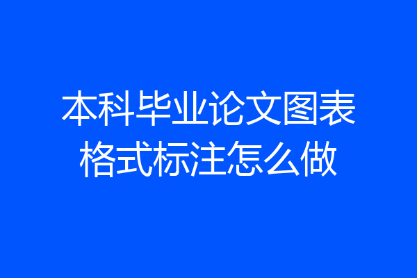 本科毕业论文图表格式标注怎么做