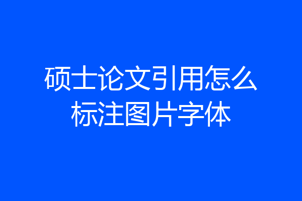 硕士论文引用怎么标注图片字体