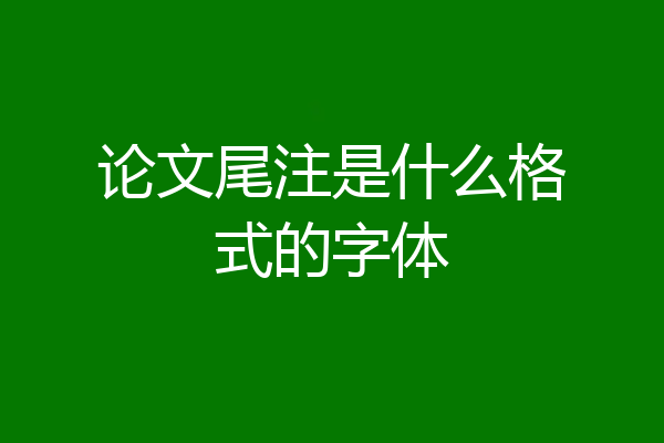 论文尾注是什么格式的字体
