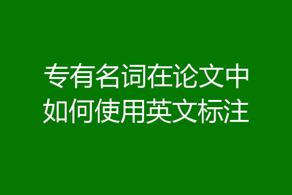 专有名词在论文中如何使用英文标注