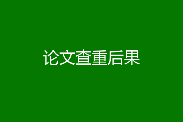 论文查重后果