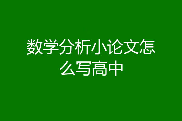 数学分析小论文怎么写高中