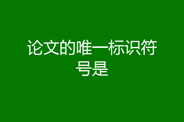 论文的唯一标识符号是