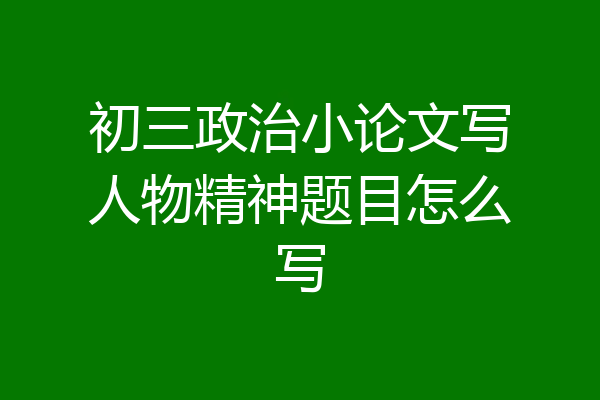 初三政治小论文写人物精神题目怎么写