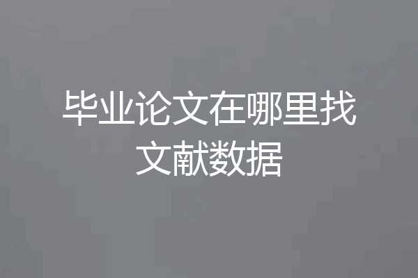 毕业论文在哪里找文献数据