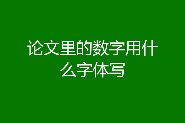 论文里的数字用什么字体写