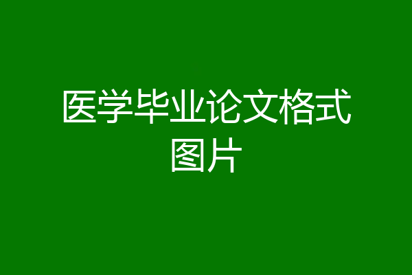医学毕业论文格式图片