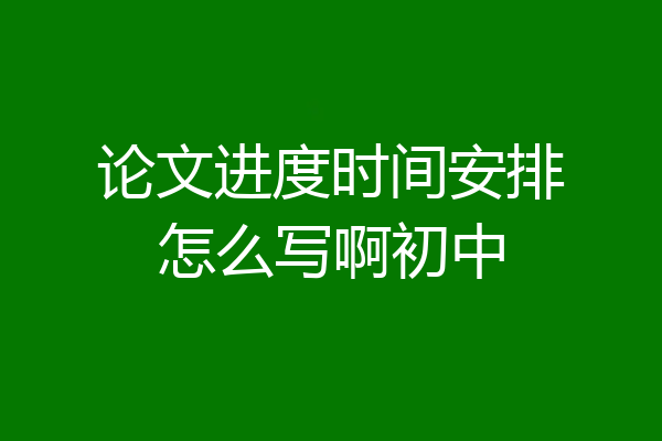 论文进度时间安排怎么写啊初中
