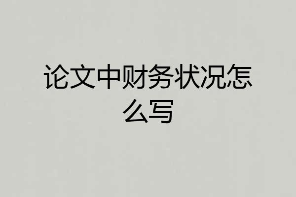 论文中财务状况怎么写