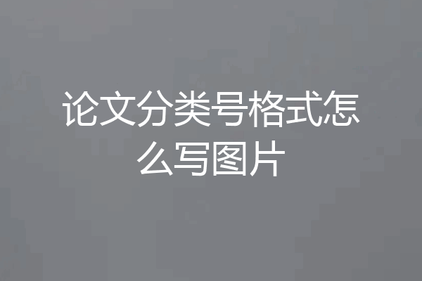 论文分类号格式怎么写图片
