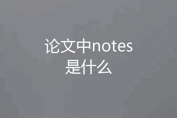 论文中notes是什么